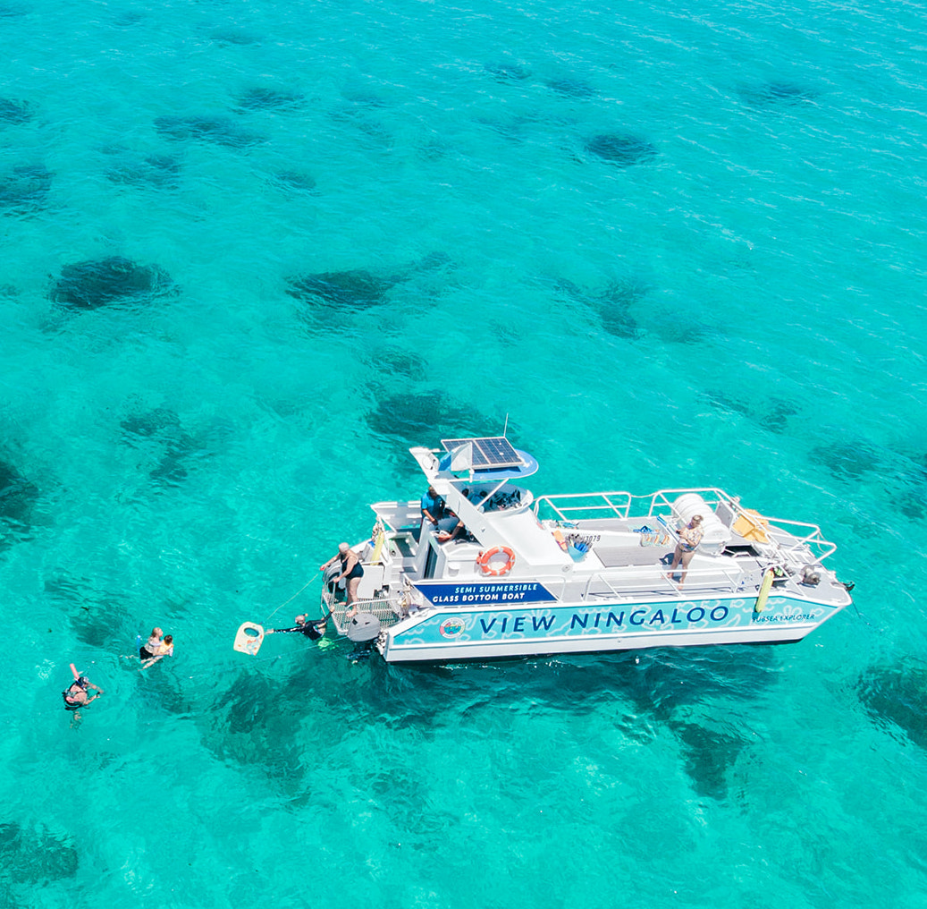 Romy's Hen's on the reef