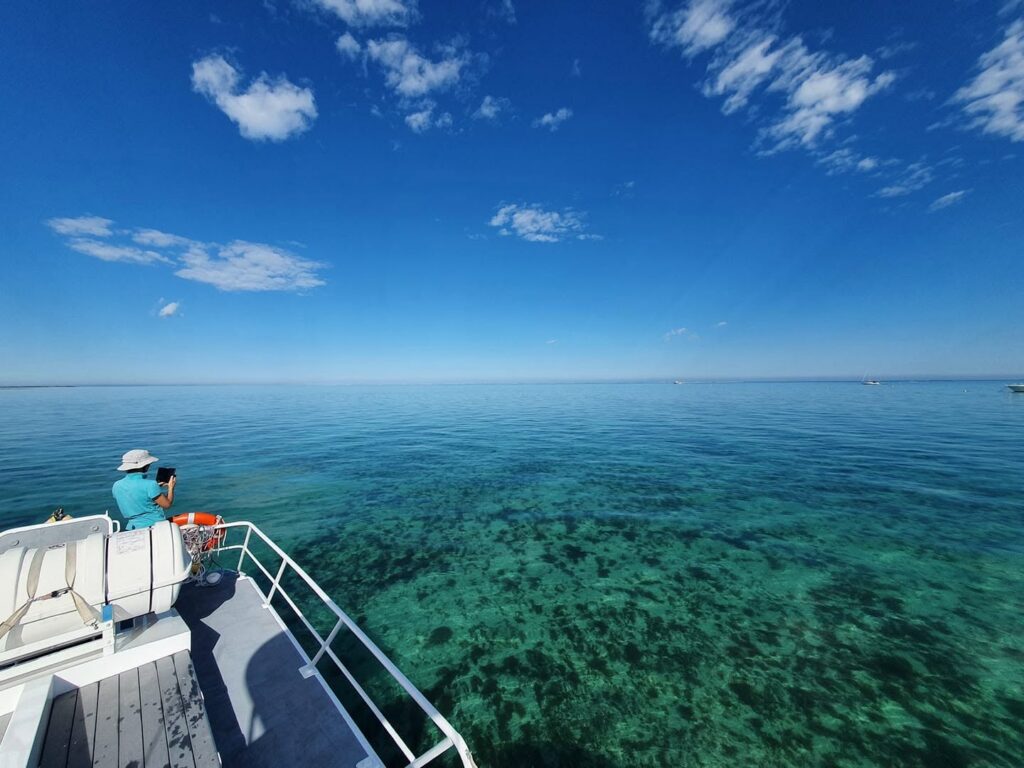 A passenger on a boat tour photographing the crystal-clear waters and vibrant coral gardens of the Tantabiddi Sanctuary Zone at Ningaloo Reef